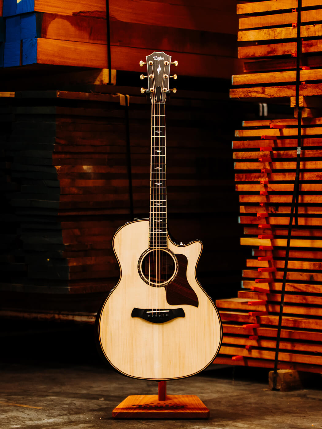 Taylor 814ce Builder's Edition