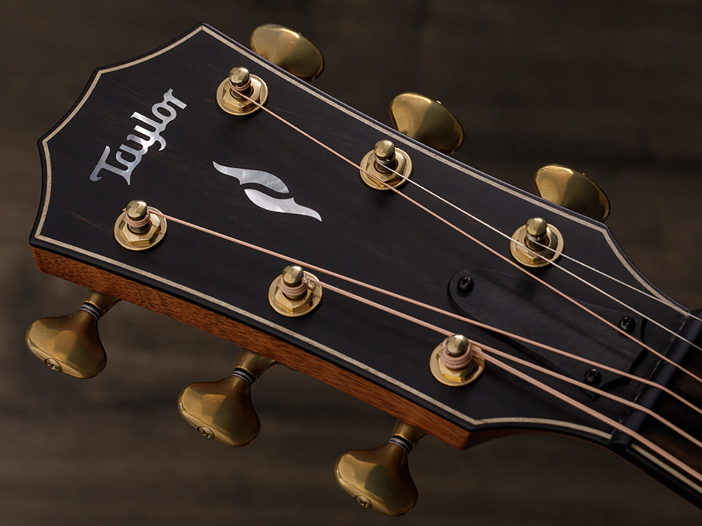 Taylor 814ce Builder's Edition